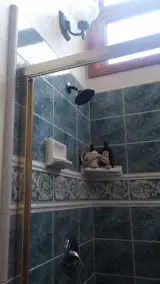 One of the existing bathrooms hadn't been updated in ages.