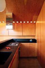 The kitchen almost blends into the background of the home, thanks to the all-over use of plywood across the cabinetry, appliances, and ceiling.