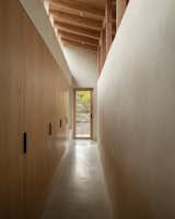 Hallway in Butterfly House by Oliver Leech Architects