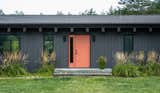 Exterior of Pine Lane by Studio For