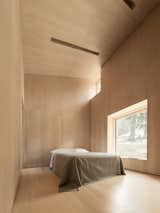 Strategically-placed windows, including at the ceiling, allow for views of the trees and wildlife.