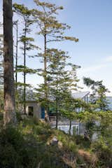 From the shoreline, the structure is low-slung and screened by trees, blending into its surroundings.