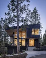 The dark exterior cladding allows the cabin to blend into the surrounding foliage.