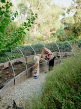 During the Covid pandemic, Isaac installed walkways and put in an elevated wicking bed where the couple grow vegetables and herbs. "We don’t have to hose water much at all," Isaac explains. "There’s a reservoir at the bottom, and the plants pull up the water through layers of sand and other materials."