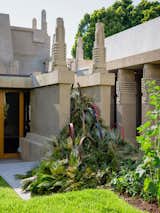 TK from Ikebana TK. Since 1921, Hollyhock House has undergone extensive restorations and repairs, some of which were overseen by Wright’s son Lloyd Wright. The remaining guest residence is undergoing its own renovations and is expected to open to the public in 2027.