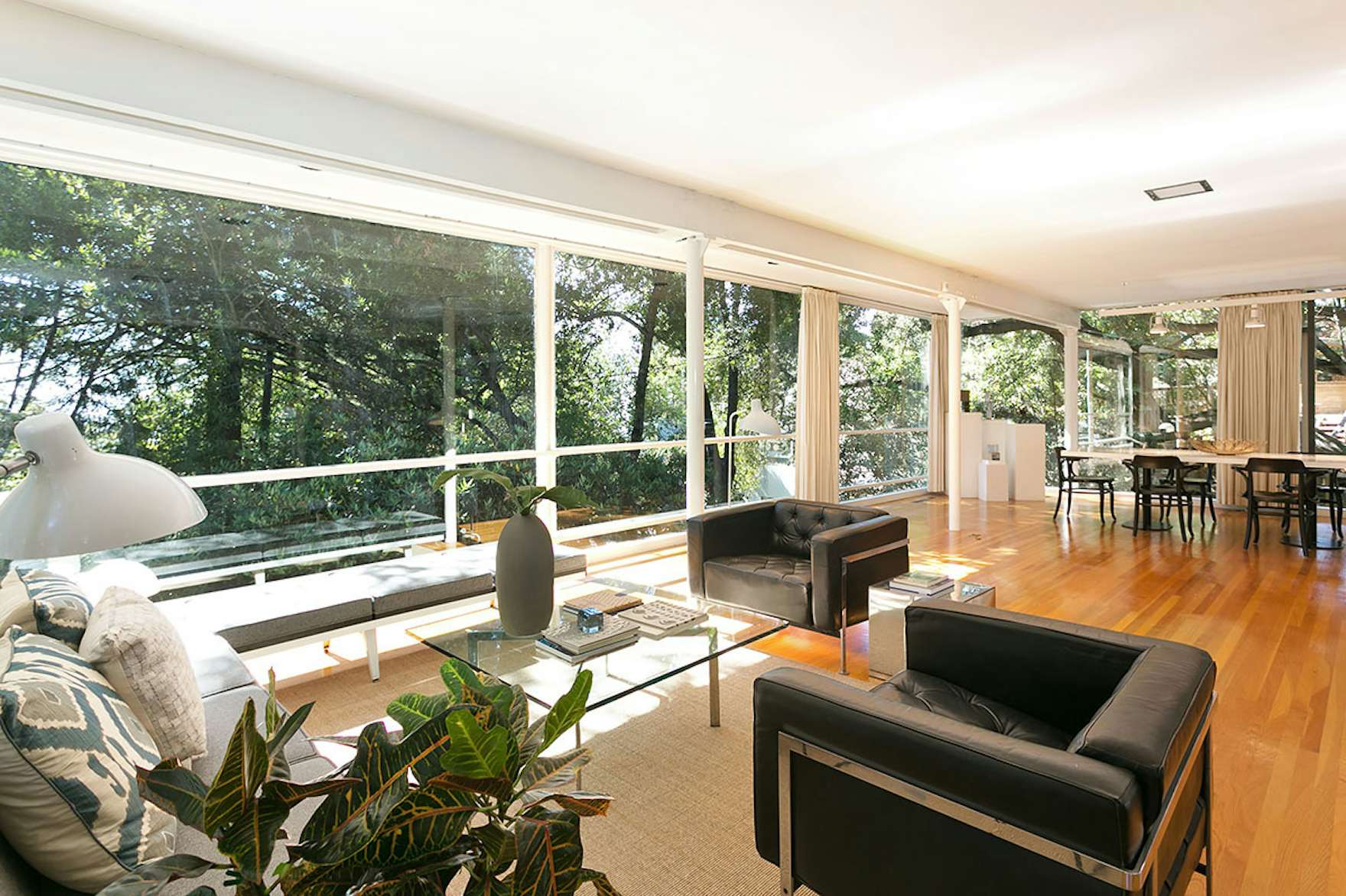 An Amazing TreeCovered Glass House For Sale in the Berkeley Hills Dwell