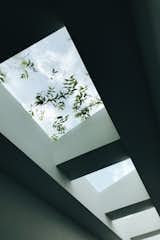 A series of skylights filters light from above and strengthens the relationship to the site and nature.
