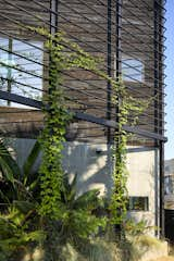 The steel screen was "intended to be a framework for climbing plants and, as a result, create a filtered view—both in and out—from the oversized loft window," Melanie shares.