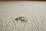 Carpet Detail in House With Noh Theater by Hiroshi Nakamura & NAP