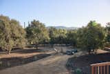 After clearing overgrown plants that had taken over the yard—while preserving many mature trees that were already on the property—Leah added over 200 native plants to the yard, which will grow and fill in over time.