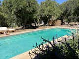 Before the renovation, the pool was in need of TLC—Leah and Kyle replastered it to bring it back to life.