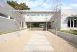 Entry Tree Court with Poured-In-Place Concrete Pavers and Retaining Walls
