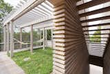 Roof Deck with Green Roof and Hammock