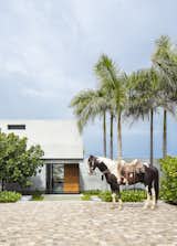Troncones / Hansen Residence by Evens Architects cobblestone courtyard