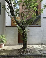 The new side entrance includes a new door through the brick wall, with the glass-enclosed entry hallway extending outward to contain it.