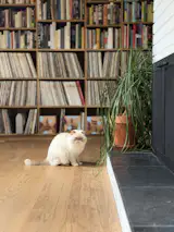 Casper poses atop the preserved original oak flooring, beside the original fireplace.