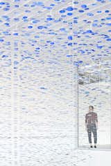 Second floor visitors find themselves immersed in a matrix of gently undulating colourful discs