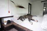 The original platform bed from seventeen20. Pendant lights from CB2, the lazy Great Dane belongs to us.