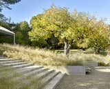 Orchard House Landscape