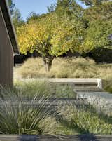 Orchard House Landscape