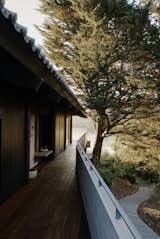 Outdoor, Side Yard, Wood Patio, Porch, Deck, Trees, and Concrete Fences, Wall  Photo 3 of 32 in Haiku House by SHED Architecture & Design