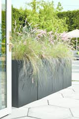 Give your plants a modern place to call home, inside or out. Our stainless steel planters are made to weather the elements with ease, in sizes and shapes that look great when grouped together.  Photo 3 of 83 in Modern Outdoor Furniture by Room & Board