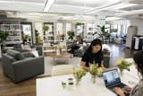 Morrison chairs, Classic coffee table, Foshay bookcases  Photo 2 of 7 in Office Tour: Well+Good Headquarters