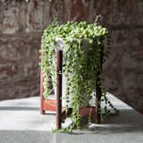 Case Study® Desk Top Funnel with Wood Stand