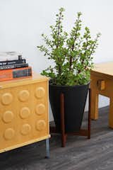 Case Study® Small Funnel with Wood Stand