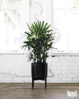 Case Study Ceramics® Cylinder with Stand