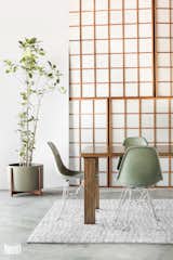 Case Study Ceramics® Medium High Pan with Wood Stand in Pebble