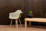 Case Study Furniture® Upholstered Arm Shell Spyder
