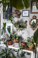 Potted and climbing plants with vintage mirrors and artworks in the bedroom.