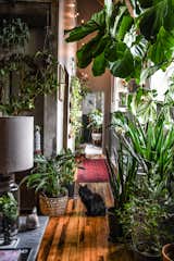 When designer Hilton Carter furnished the industrial-style Baltimore apartment and work studio he shares with his wife Fiona, their dog Charlie and two cats Zoe and Isabella, he created a wondrous indoor woodland that offers all the benefits of being outdoors without leaving home.