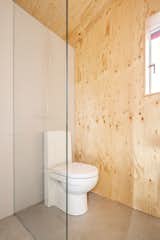 A glass wall separates the toilet area and offsets an unfinished pine plywood wall in the bathroom.
