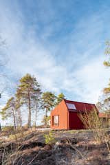 A Tiny Cabin in Rural Sweden Pops With Red Pinewood