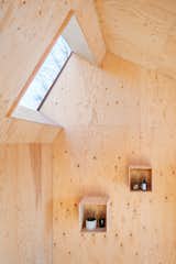 Monochrome House by Lookofsky Architecture plywood interior with skylight