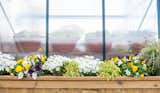 A planter filled with florals and greenery borders the exterior of the greenhouse.