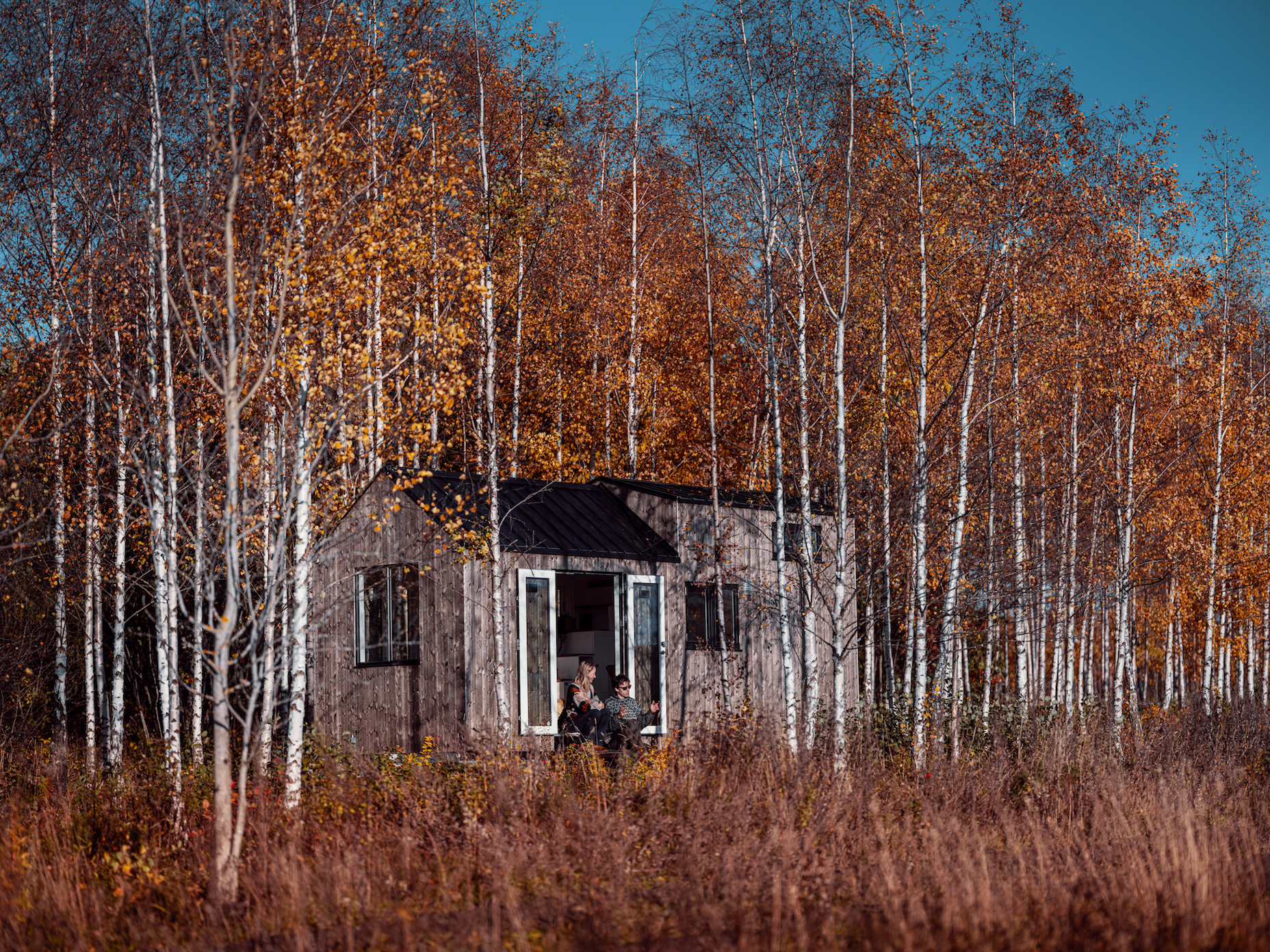 Photo 34 Of 45 In 45 Magical Tiny Cabins To Pin To Your Mood Board ...