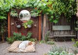 Whitney designed a living wall with a large round mirror for the side garden, where the rescue beagles nap in the sunlight.
