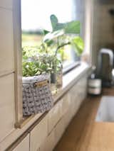 To create an organic aesthetic and tie the home to the outdoors, Ashlee placed plants around her tiny home.&nbsp;