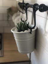 A small succulent adds greenery in the kitchen.
