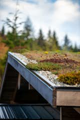 Hanson planted the green roof with succulents, grass, flowers and moss.