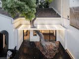 A Volcanic-Rock Courtyard Energizes a Dramatic Home in Shanghai - Photo 5 of 16 - 