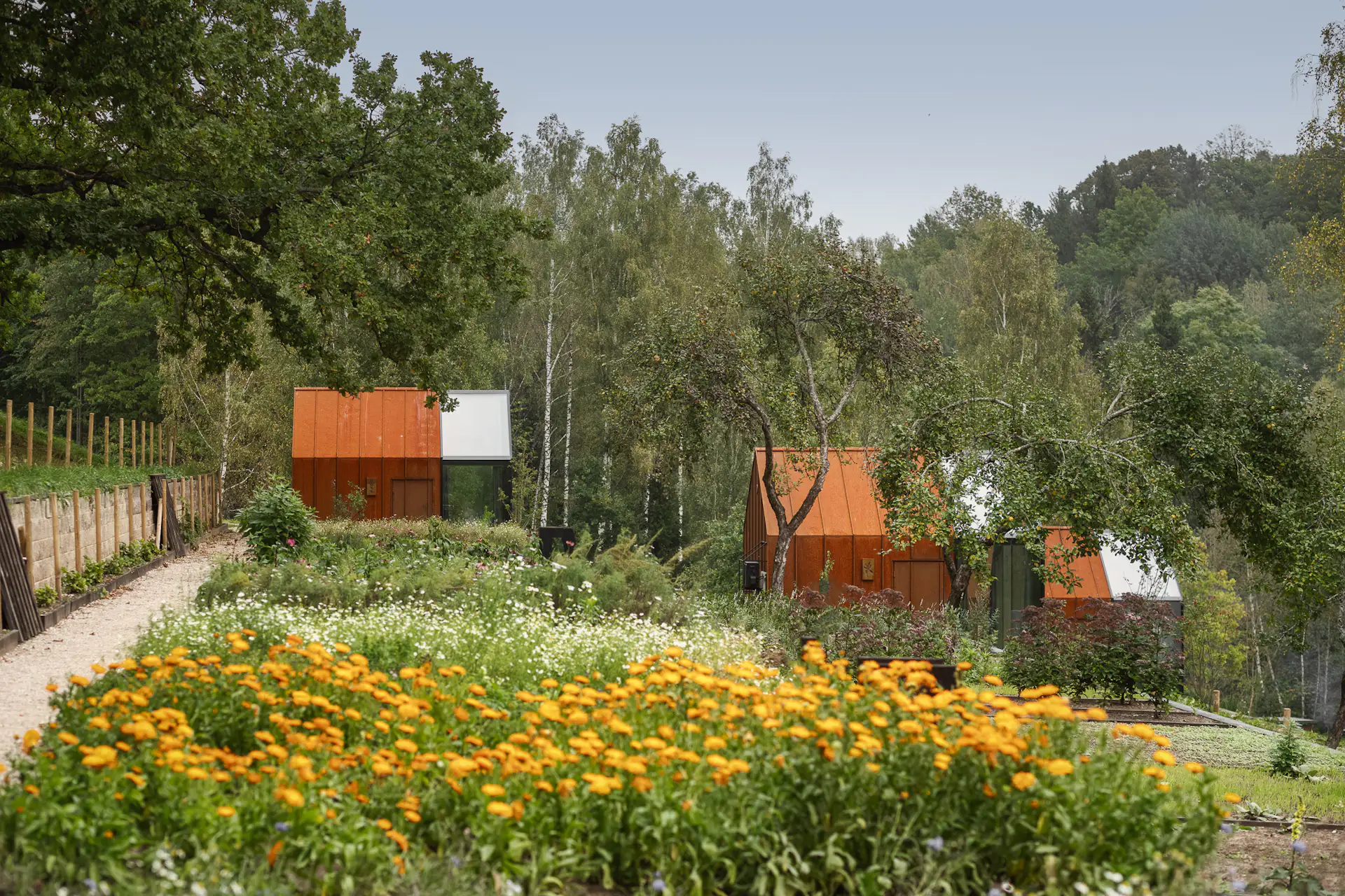 Landscape designer Grits Runis of Landshape designed the area around the cabins, planting a terraced garden that provides herbs for making tea.