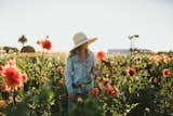 Kate Rowe in a field of flowers