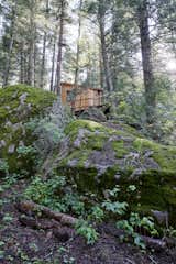 Moss-covered boulders at the base of Colorado Camelot tree house helped to inspire the design for the compact structure.