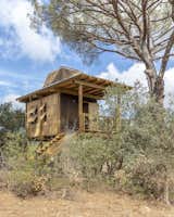 Inspired by a pair of 100-year-old pine trees, Madeiguincho designed this 260-square-foot tree house in Melides, Portugal.