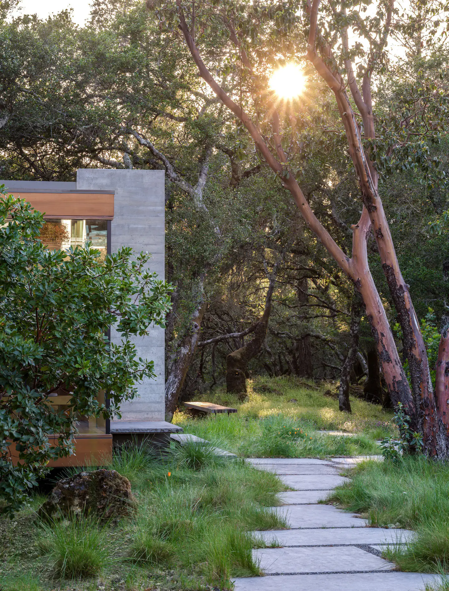 Visual Reference: Photo 3 Of 15 In This Off Grid Design Studio