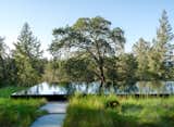 Just outside the studio, Ground Studio Landscape Architecture created a natural courtyard with a meadow and an edgeless pool that mimics a pond.